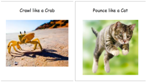 crab and cat