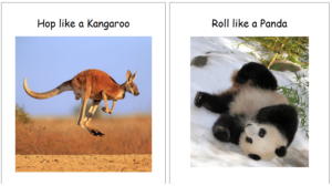 kangaroo and panda