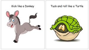 donkey and turtle